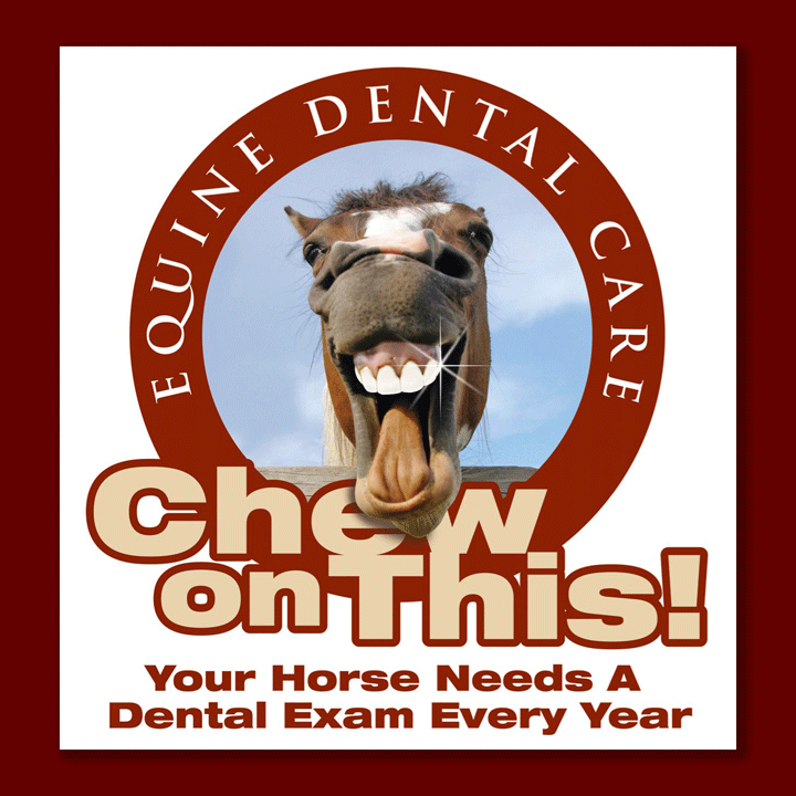 Chew On This, Learn to Recognize Your Horse's Dental Problems