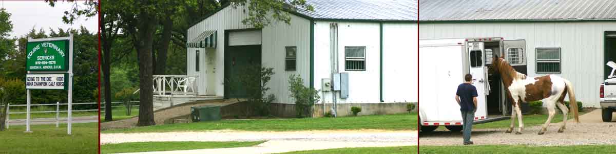 Equine Veterinary Services clinic in Terrrell, Texas