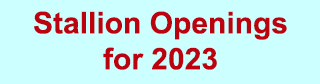Stallion Openings for 2023