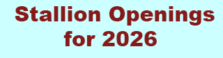 Stallion Openings for 2026