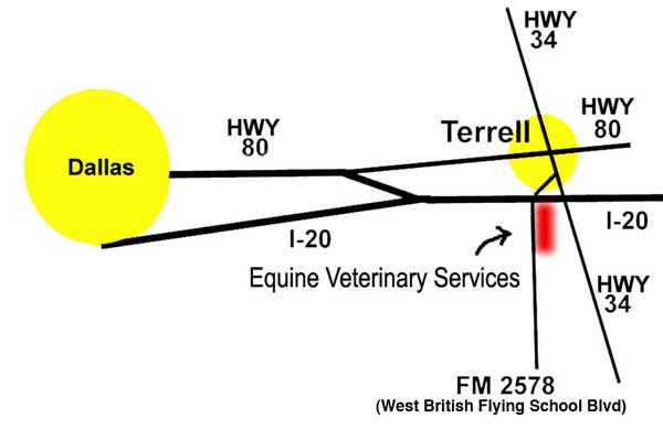 Equine Veterinary Services is located at 505 just south of I-20 FM 2578